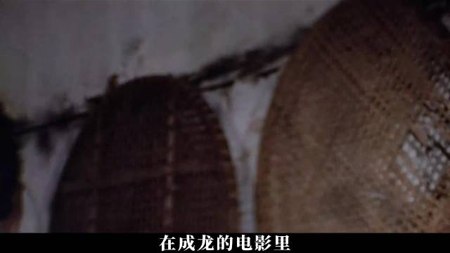 成龙马丽乔杉于洋主演熊猫计划部落奇遇记