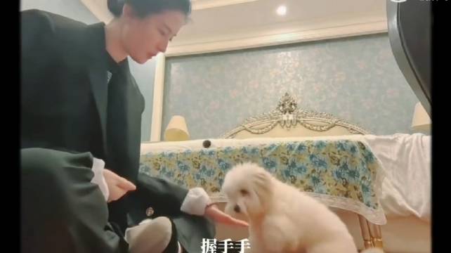 神呐，刘亦菲她逗狗的时候竟然会发出这种声音，好有反差