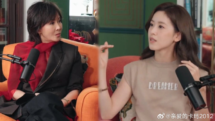 《小天章》第一期采访刘嘉玲为何引发争议和批评？