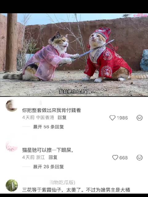 这个做的太有意思了！演技一流 大话西游｜猫猫｜经典片段