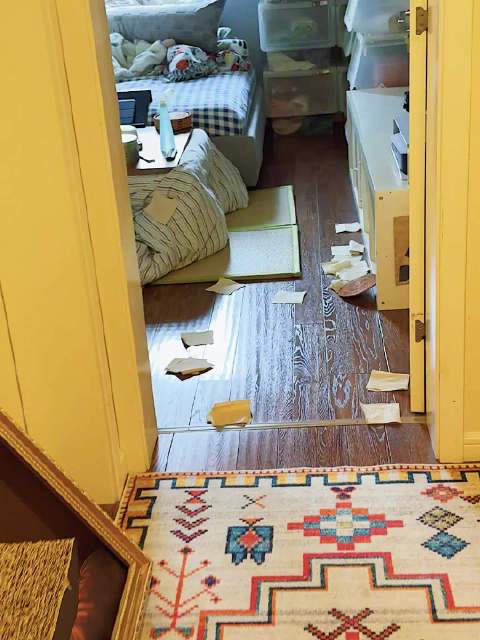 皮卡捣蛋日常，以及非常双标的老父亲