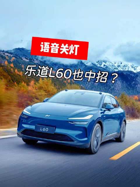 乐道L60语音误关车灯系统二次操作才关闭