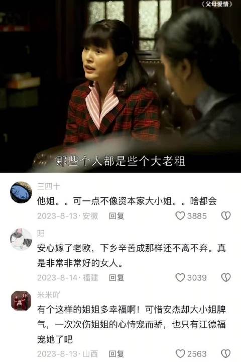 这剧里最好的女人就是安欣，没有之一 父母爱情 | 电视剧推荐