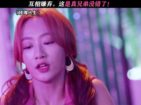 玫瑰丛生:互相嫌弃，这才是真兄弟