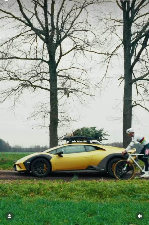 自行车和小牛很般配！天气转暖，一起去骑车吧