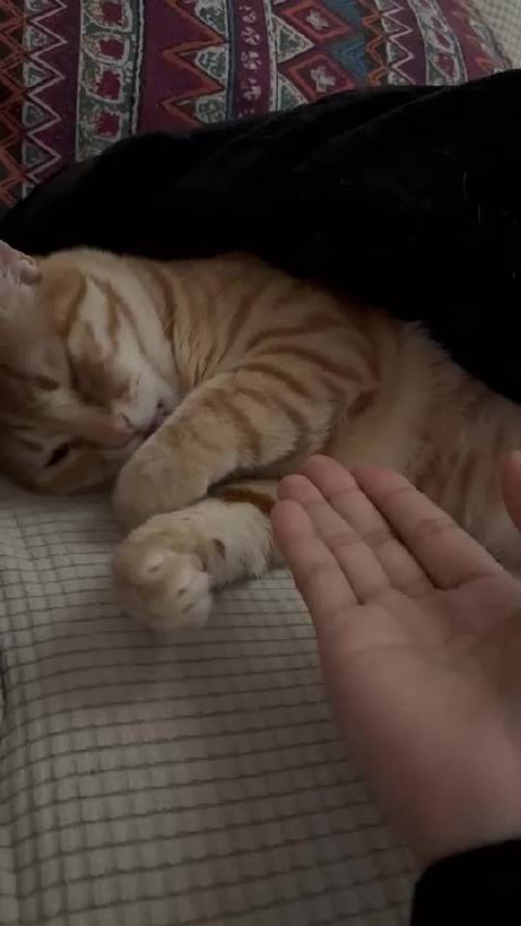 望子成龙原来是这种感觉 哈哈哈哈哈哈