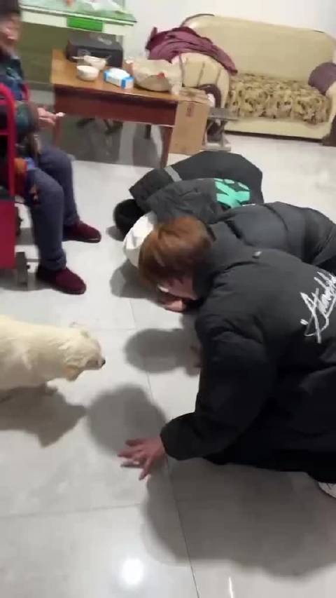 狗小，但是辈分大