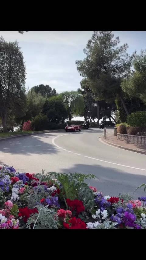 勒克莱尔与Alexandra今日摩纳哥大婚，驾驶法拉利250 Testa Rossa亮相