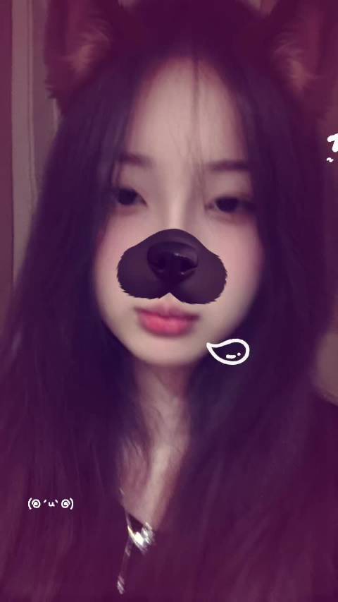 我的青春里有梦想有歌曲有你们