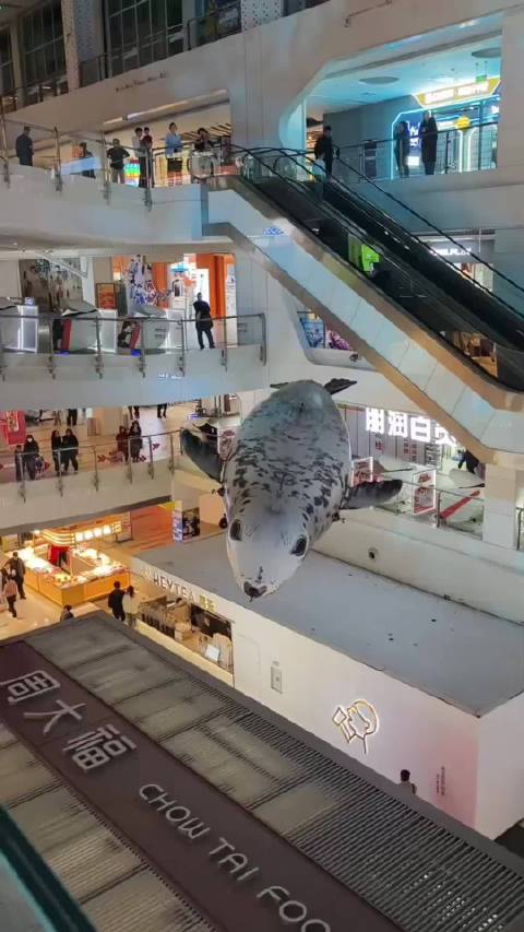 中央大道~~欣赏海豹表演