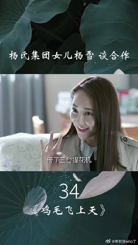 杨氏集团千金杨雪与陈江河洽谈合作