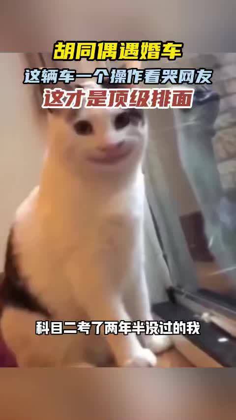 北京胡同婚车遇窄路，阿维塔07主动让行优雅掉头