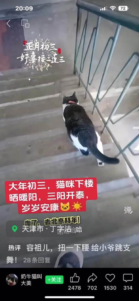 给小爷跳支舞！