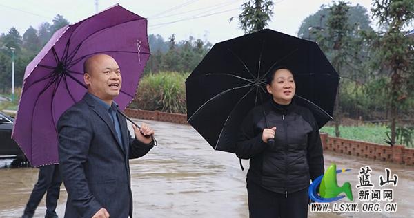 蓝山：奋力开创全县乡村振兴工作新局面