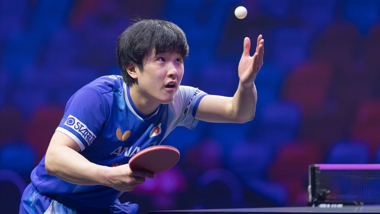 张本智和爆冷出局!弗队长结束八败之交3-2险胜，约战林昀儒