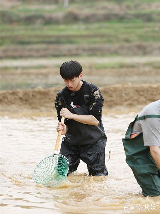 四档热门综艺力推4个当红小生,他获五星好评,他被赞盛世美颜