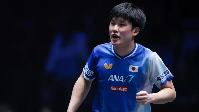 WTT战报：3-0！3-0！张本智和兄妹大胜，韩德名将出局 陈幸同逆转