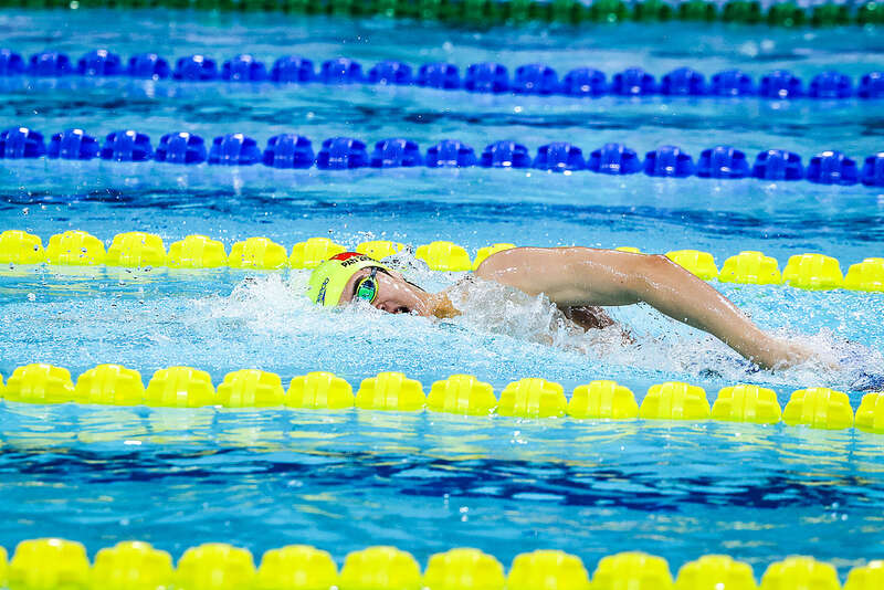 2025游泳世锦赛中国队名单出炉,全红婵缺席