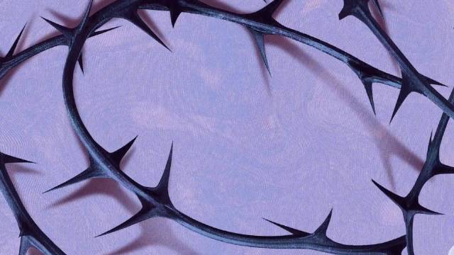 王子文刘宇宁蒋欣《玫瑰丛生》片场花絮欢乐曝光