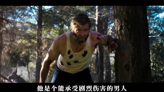 死侍与金刚狼史诗同框