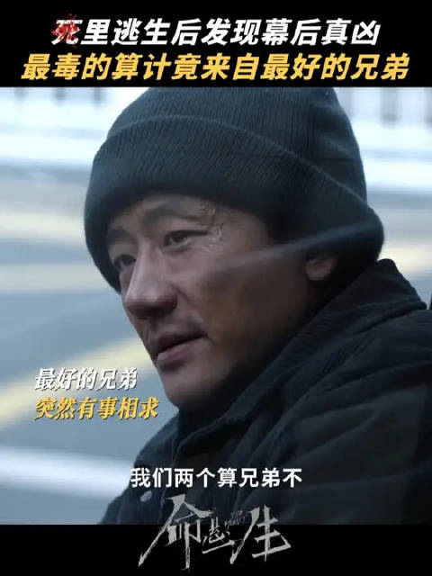 最狠的算计，藏在最亲密的“兄弟”二字里