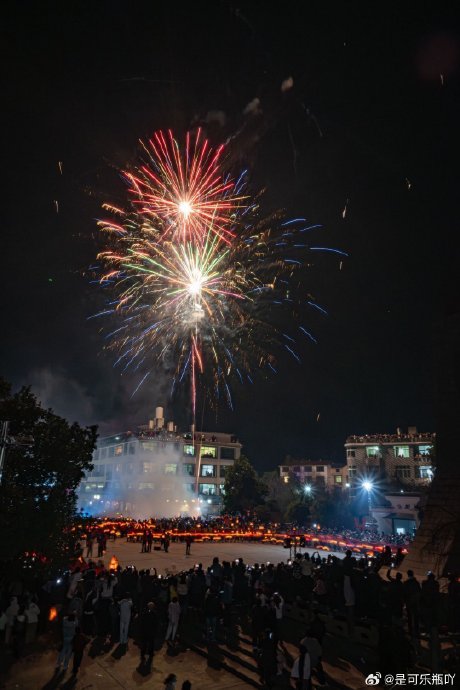 张雨绮粉丝后援会发起新年看龙灯活动