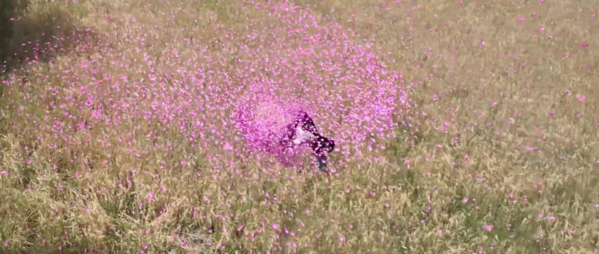 《江湖夜雨十年灯》场景单一剧情细碎，云合评级降至A