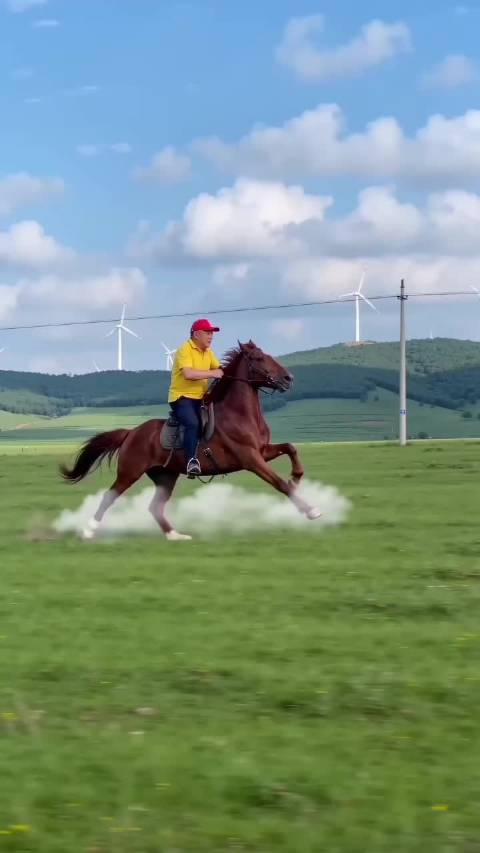 马年骑上枣红宝马，奔向美好，奔向幸福健康，快马加鞭，马到成功