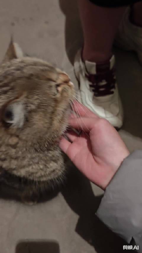 张译超话粉丝分享与偶像相遇故事