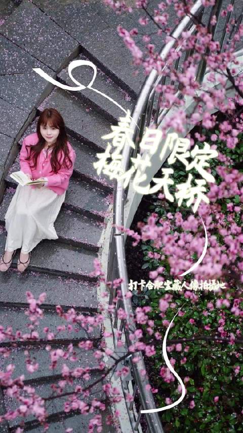 合肥望湖城南地铁站梅花天桥成网红打卡点