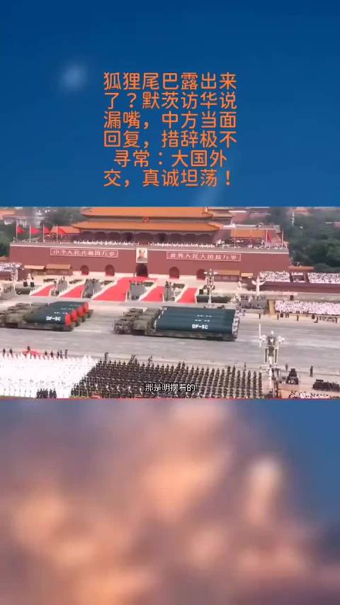 德国总理热门人选率商界全明星队访华