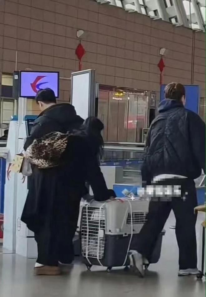 纪凌尘和外籍女友现身机场，疑带女友回家过年，恋爱三年感情稳定