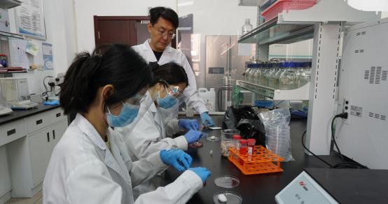 科创内蒙古 攻坚向强行——内蒙古推动高质量发展之科技创新篇