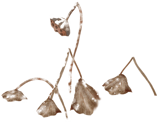 王安宇 泪眼生辉 灼灼其华