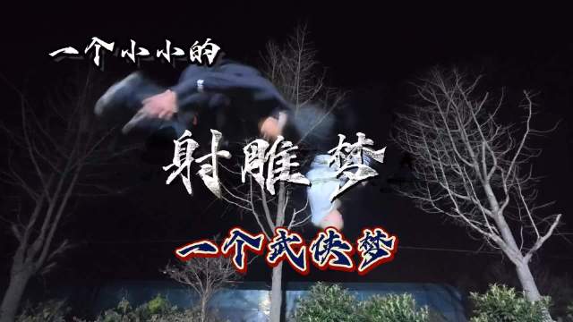 网友分享射雕英雄梦提及亢龙有悔蛤蟆功