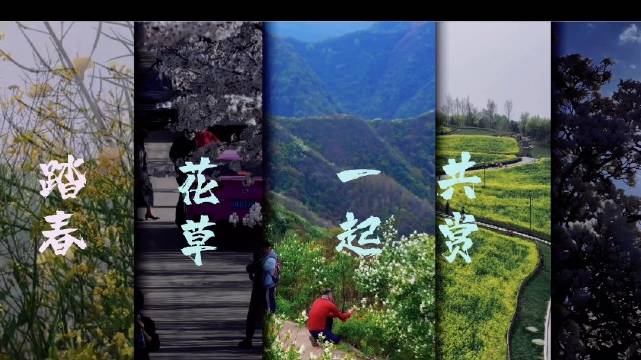 长安春色如画，唐村梅花王莽桃花竞放