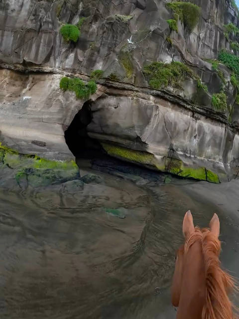 难怪古人会为了一匹马打起来 这汗血宝马谁不想要