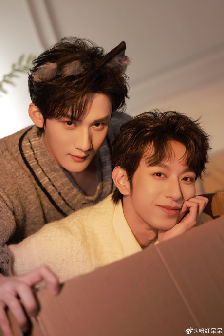 江衡和李沛恩为欧莱雅拍的狼兔主题合照具体是什么样子？