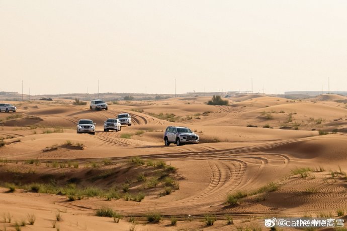 黄渤选择在迪拜度假，是出于什么原因？