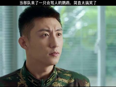 有这样的主人 这鸟不跑才怪 黄景瑜 李沁 赵荀 姜嫄