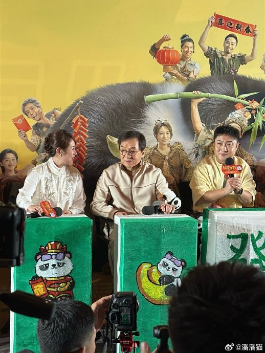 《熊猫奇遇记》的上映时间和主要受众群体是如何定位的？