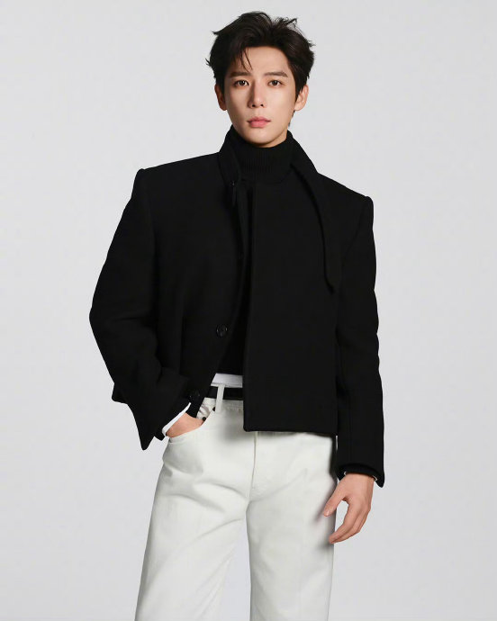 王安宇与CELINE品牌合作的具体范围和级别是怎样的？