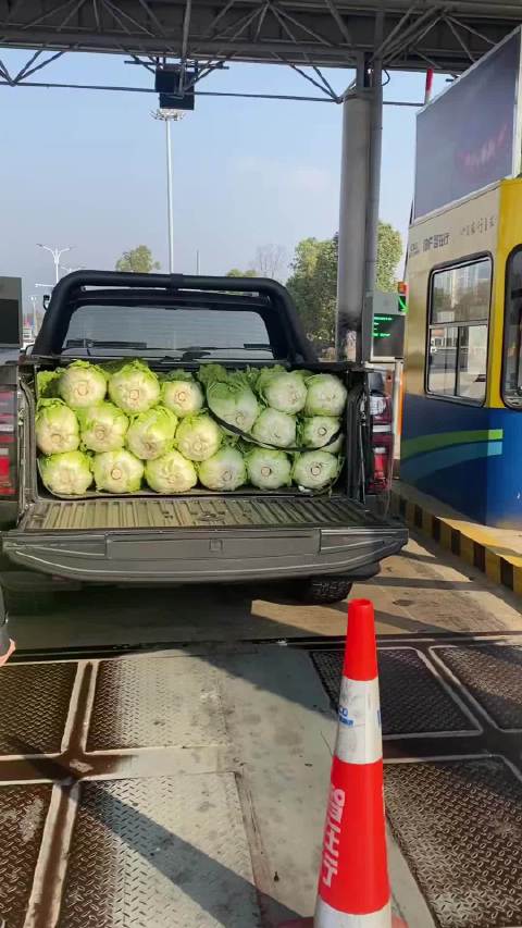 东北至三亚皮卡绿通往返运蔬果，15年报废与进城限制成销量阻碍