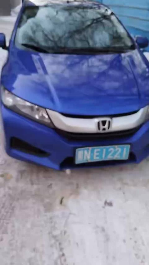 黑龙江黑河本田车主10年行驶100万公里里程表爆表