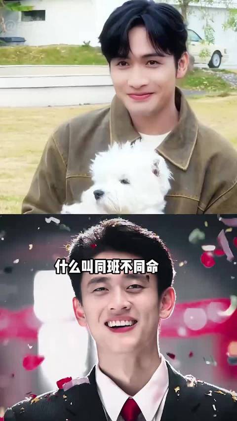 王天辰的同班同学，张彬彬稳居二线前沿，韩东君剧火人不火 张彬彬韩东君