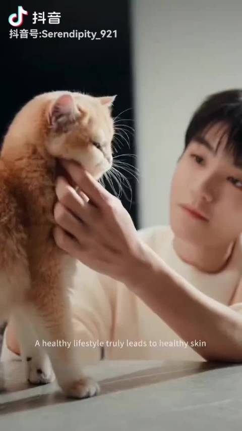 王俊凯好温柔有这样的猫很治愈