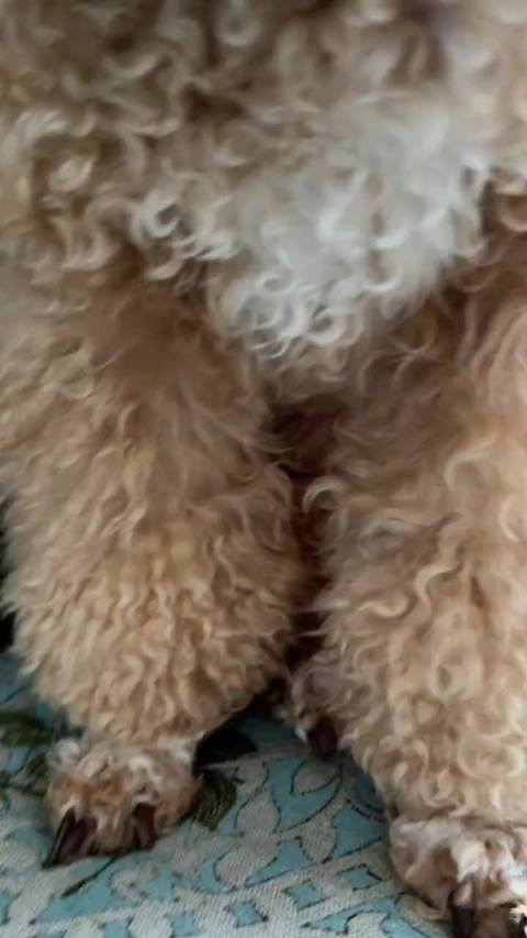 梁静茹新歌《想念是会呼吸的痛》发布