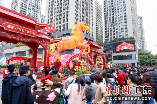 深圳福田·节日广场花市启幕 以繁花邀约世界