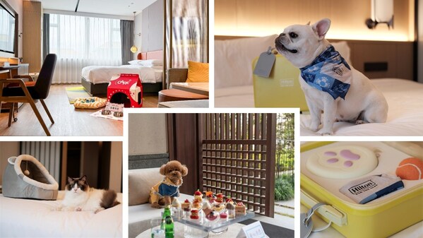希尔顿集团旗下近160家酒店升级宠物友好全新体验_旅游资讯_阿斯顿丹戎槟榔酒店& 会议中心