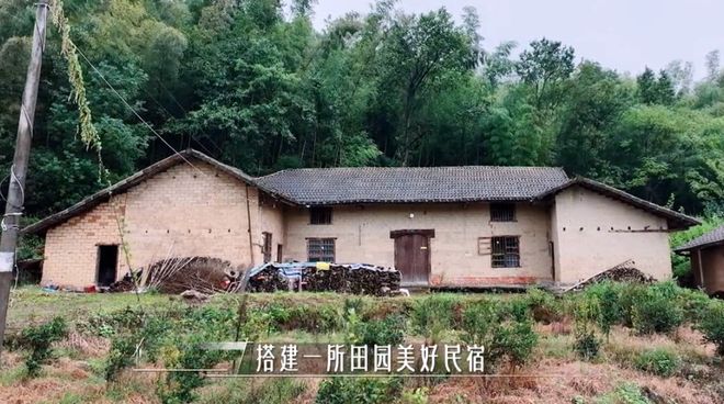 新紫新综是女版《向往的生活》?被谢娜夸旺男主,和乔欣互称宝宝杨紫林心如苏有朋综艺节目大陆综艺_订阅